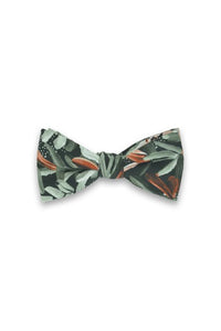 Bow Tie - Protea Green